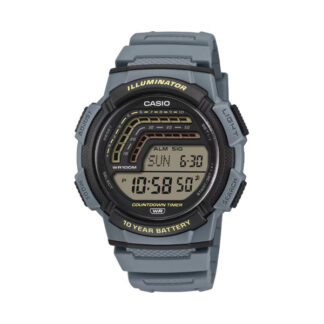 Casio WS-1800-2AVEF rannekello hinta