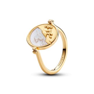 Pandora ME Pegasus Reversible Medallion sormus