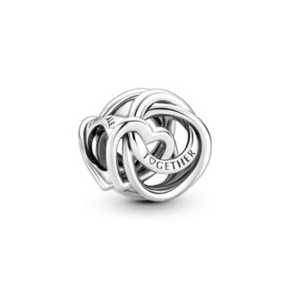 Pandora Moments Family Always Encircled Heart hela