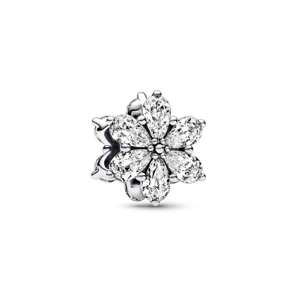 Pandora Moments Sparkling Herbarium Cluster hela