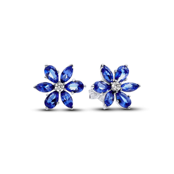 Pandora Timeless Sparkling Herbarium Cluster tappikorvakorut