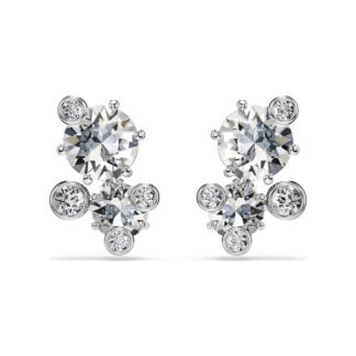 Swarovski Constella korvakorut