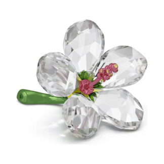 Swarovski Florere Hibiscus kristallikoriste