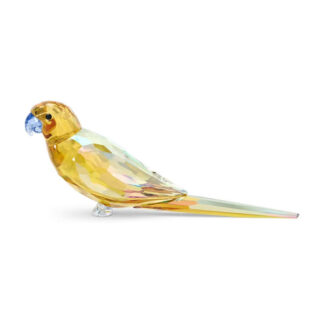 Swarovski Jungle Beats Yellow Parakeet Lechee kristallifiguuri 5619217 hinta